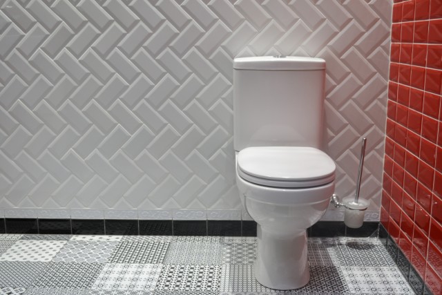 Toilet-Repair--in-Marion-Texas-toilet-repair-marion-texas.jpg-image